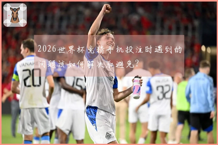 2026世界杯竞猜手机投注时遇到的问题该如何解决和避免？